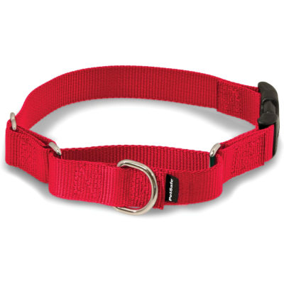 PetSafe Martingale Dog Collar