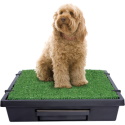 PetSafe Pet Loo Portable Indoor & Outdoor Dog Potty