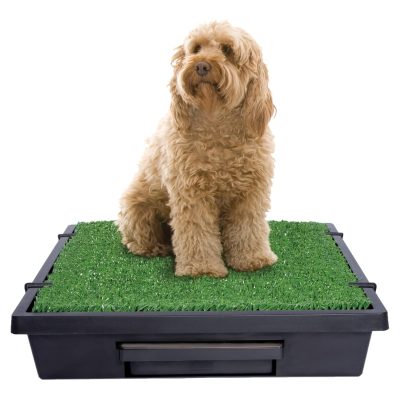 PetSafe Pet Loo Portable Indoor & Outdoor Dog Potty