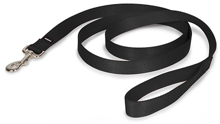 PetSafe Premier Nylon Dog Leash