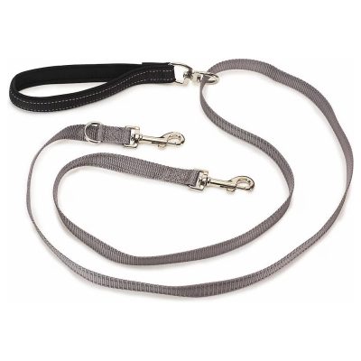PetSafe Two Point Control