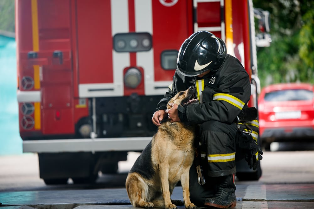 Photo of fireman squatting next to service dog near fire engine