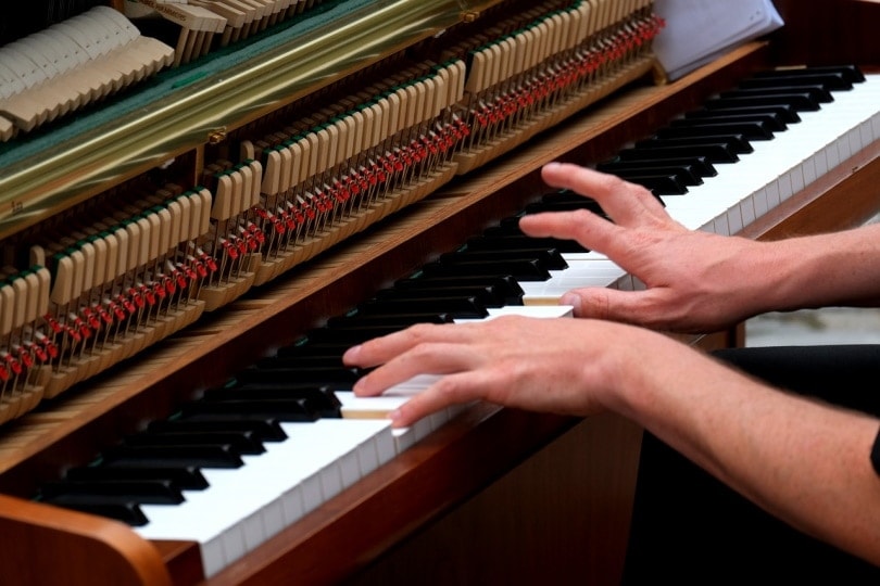 Pianist playing on the piano