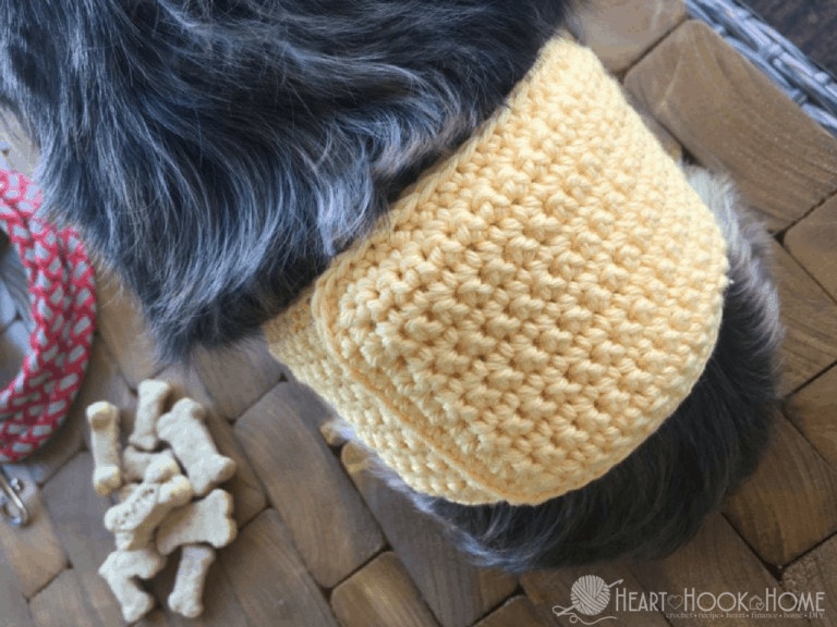 DIY Piddle Protector