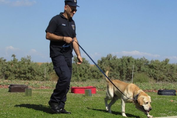 Police dog trainer and trainee