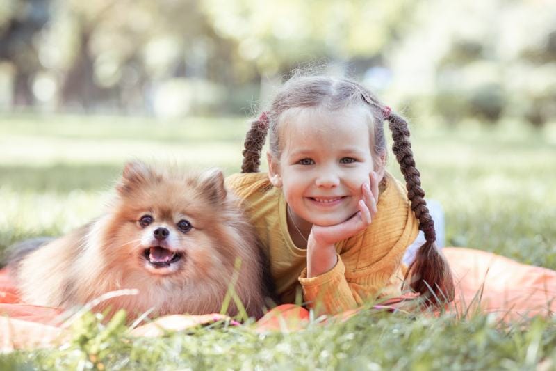 Pomeranian with a girl