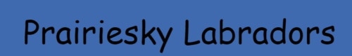 Prairiesky labradors logo
