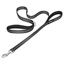 10 Best Dog Leashes for Large Dogs in 2024 - Reviews & Top Picks – Dogster