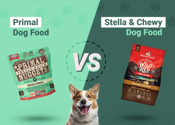 Primal vs Stella & Chewy Dog Food - Featured Image