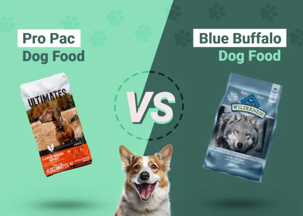 Pro Pac vs Blue Buffalo Dog Food - Featured Image