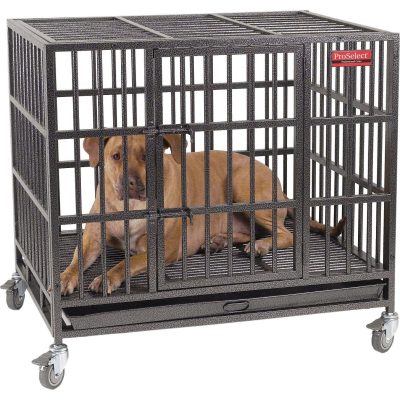 ProSelect Empire Single Door Steel Dog Crate