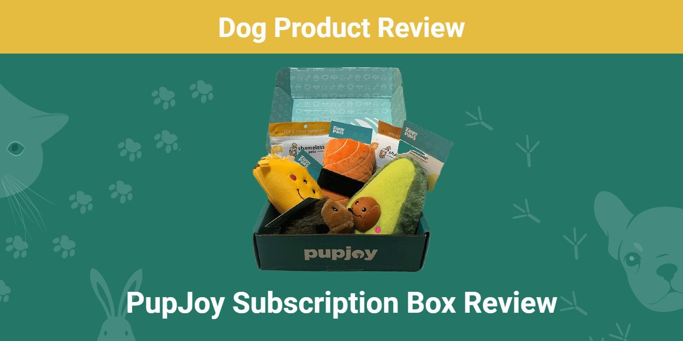 PupJoy Dog Subscription Box Review 2024 An Expert's Breakdown Dogster