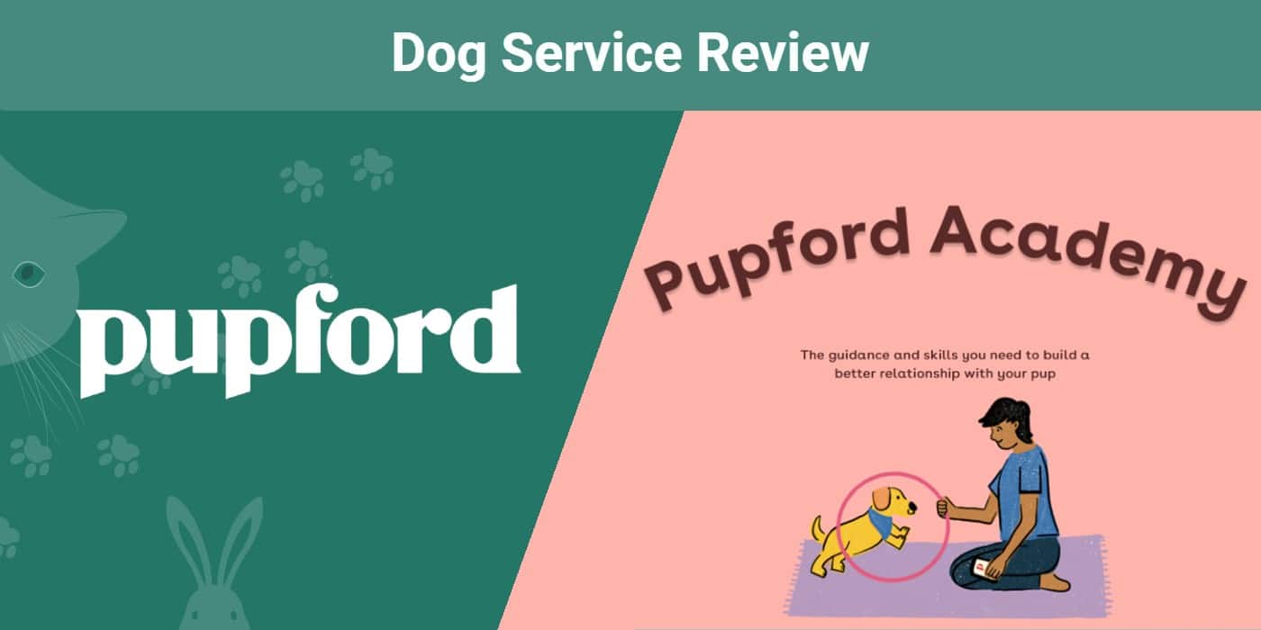 Pupford-Academy-Review-SAPR-FT-2