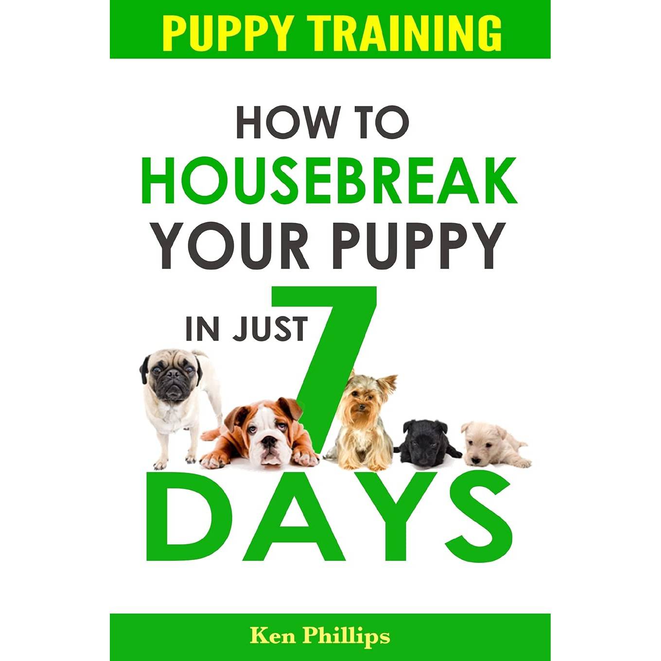 Puppy Training: How to Housebreak Your Puppy in Just 7 Days!