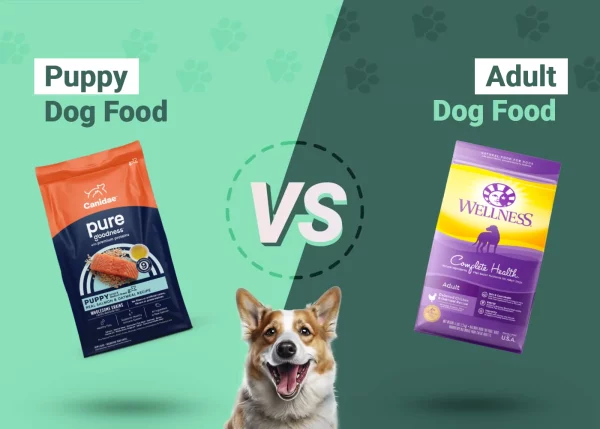 Puppy vs Adult Dog Food: The Differences & When to Switch Diets – Dogster
