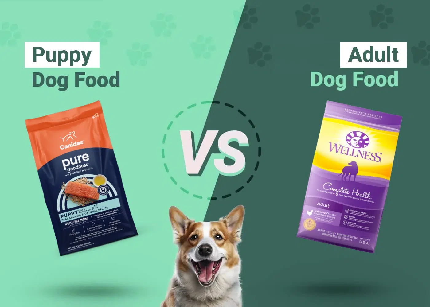 puppy-vs-adult-dog-food-the-differences-when-to-switch-diets-dogster