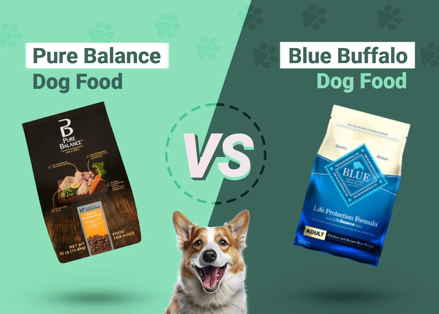Pure Balance vs Blue Buffalo Dog Food - Featured Image
