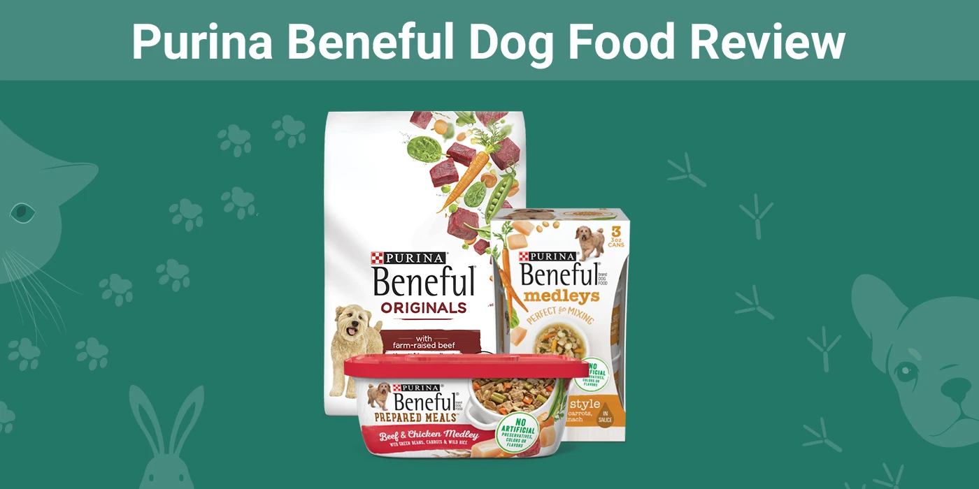 Purina Beneful Dog Food - Featured Image