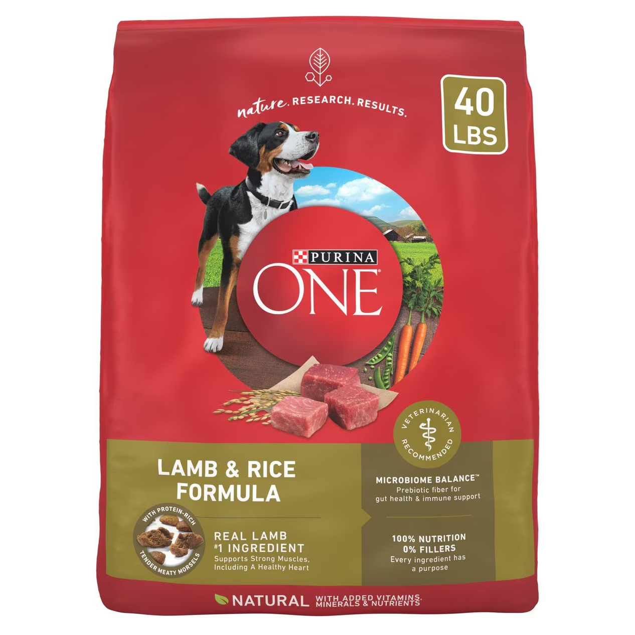 Purina ONE Natural SmartBlend Dry Dog Food