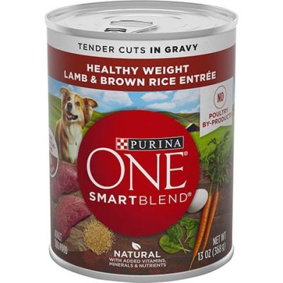 Purina ONE SmartBlend True Instinct 