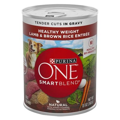 Purina ONE SmartBlend Adult Canned Dog Food