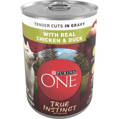 Purina ONE Tender Cuts in Gravy 