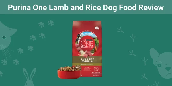 Purina One Lamb and Rice Dog Food - Featured Image