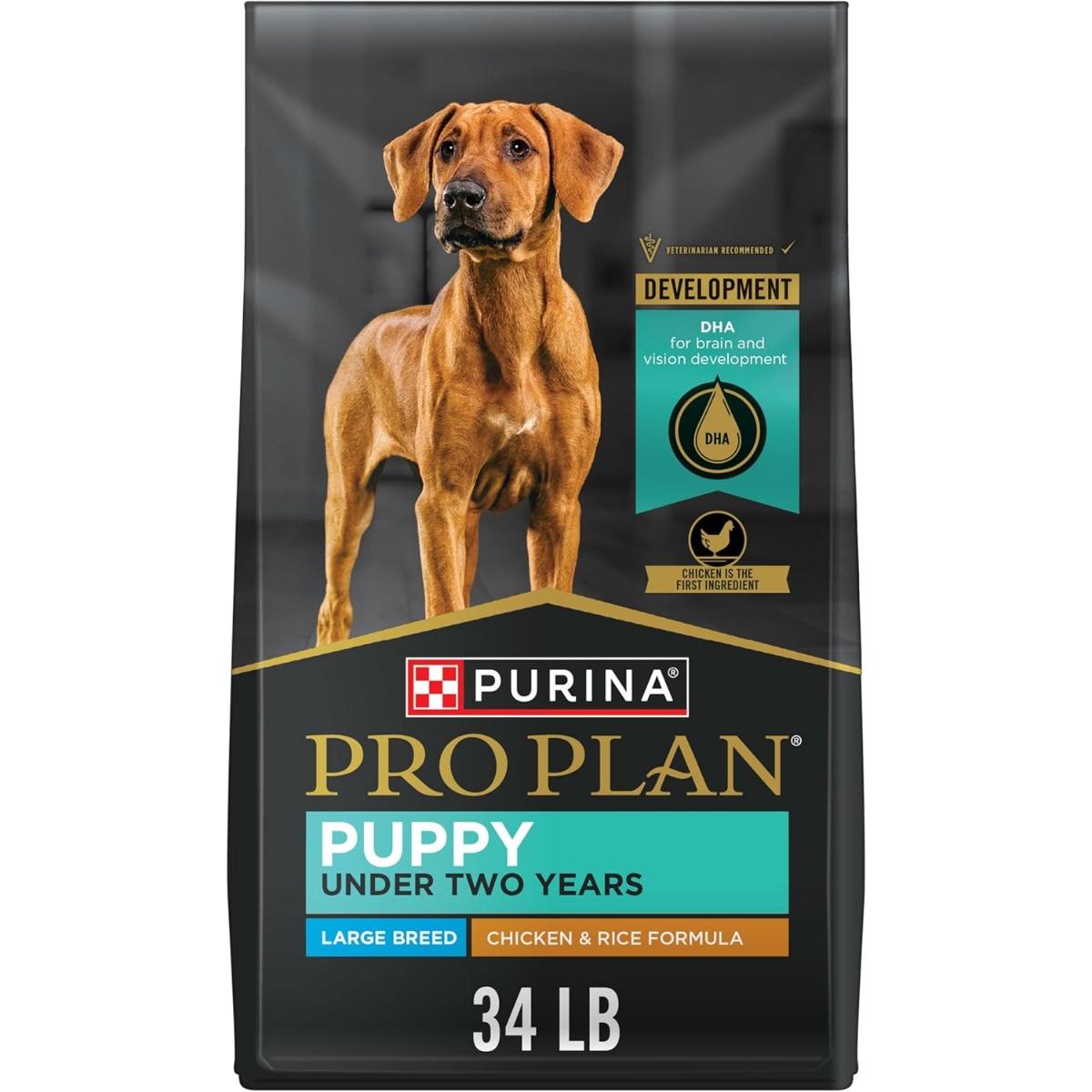 Purina Pro Plan Development Beef & Rice Dog Food