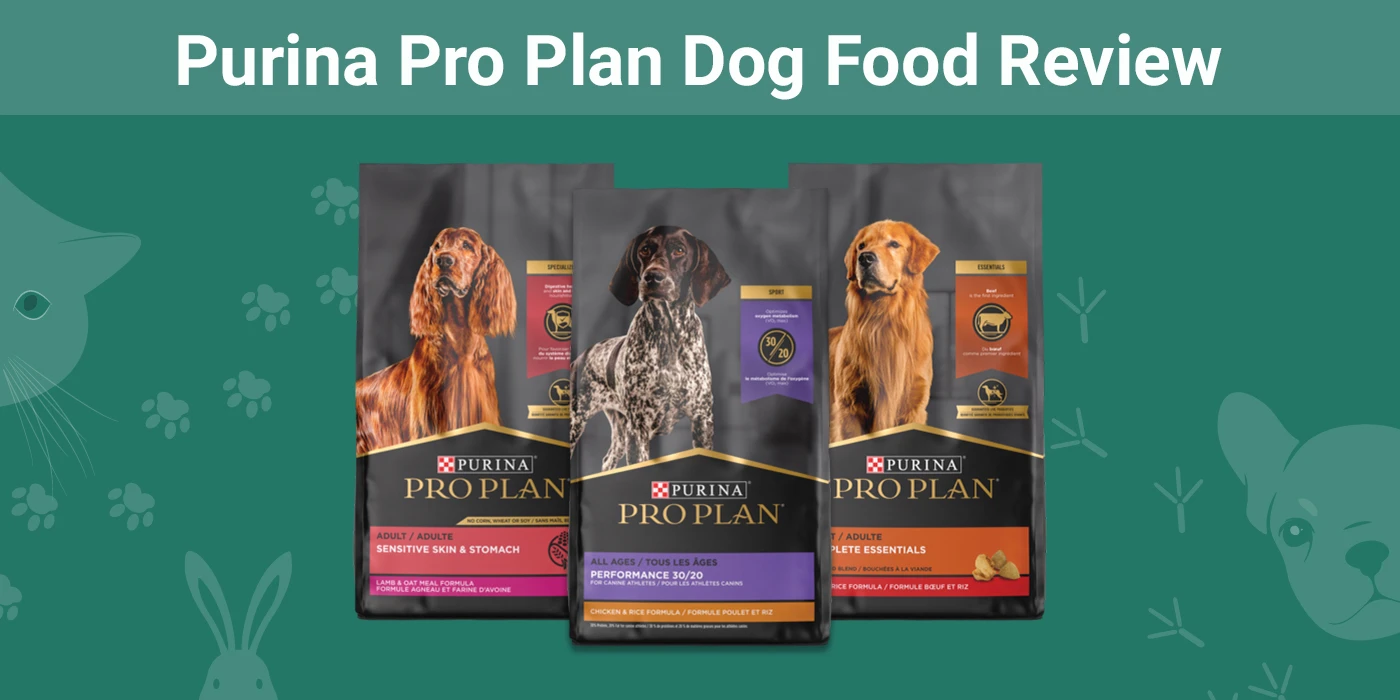 Purina Pro Plan Dog Food - Featured Image