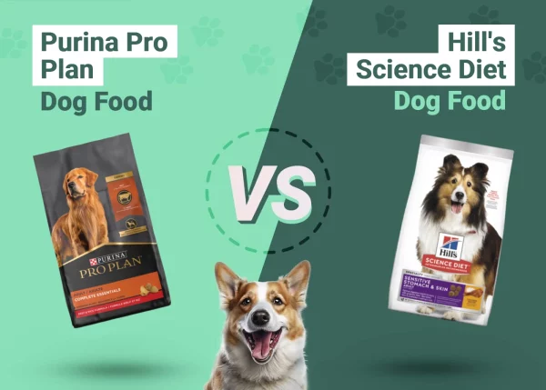 Purina Pro Plan vs Hill's Science Diet - Featured Image