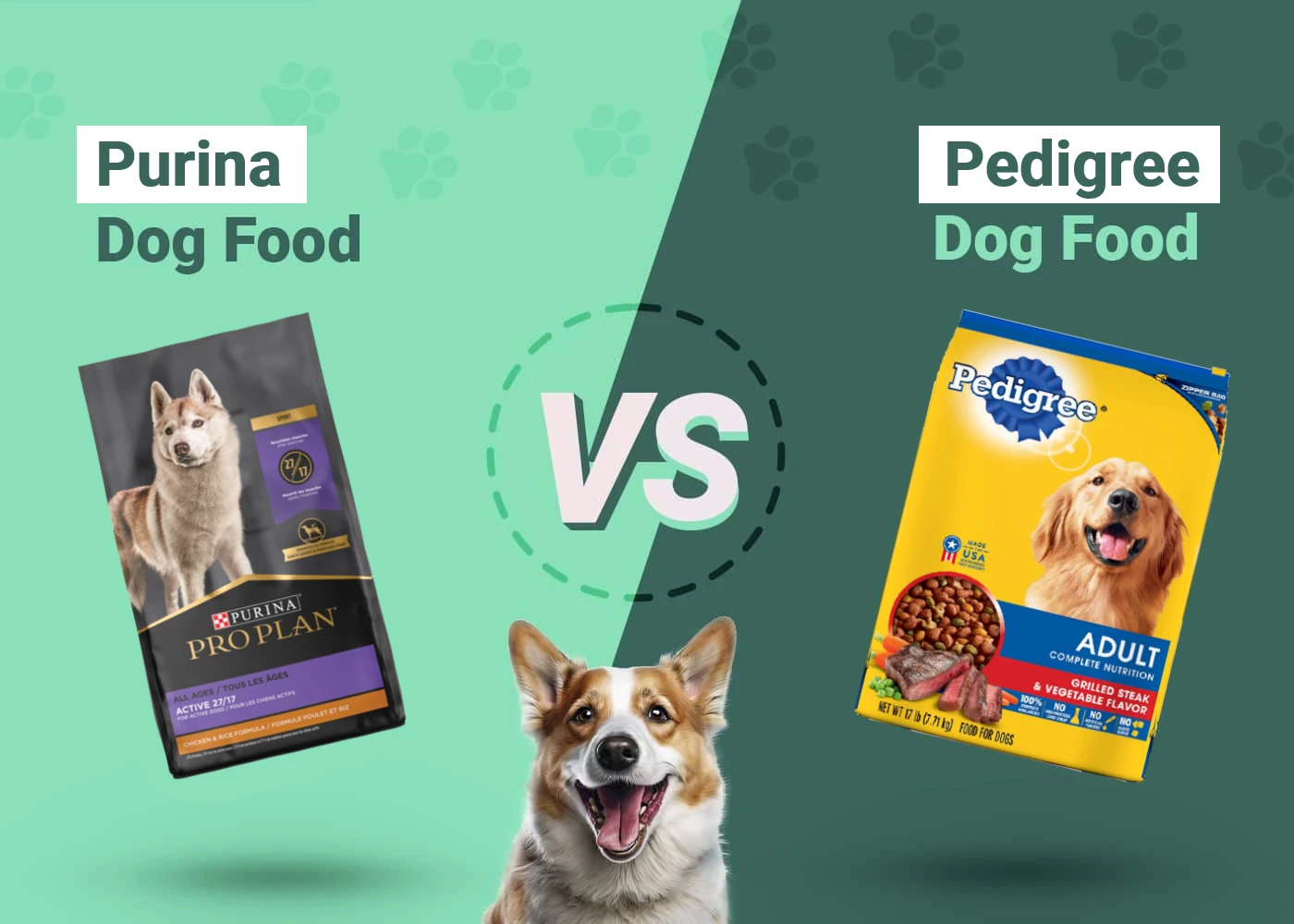 Purina vs Pedigree Dog Food - Featured Image