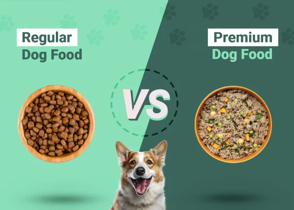 Regular vs Premium Dog Food - Featured Image