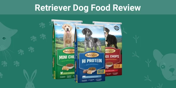 Retriever Dog Food - Featured Image