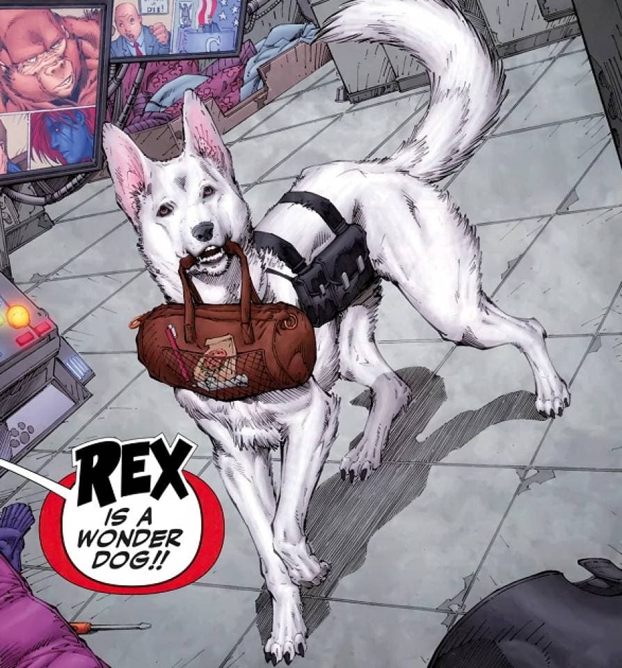 Rex The Wonder Dog DC Comics