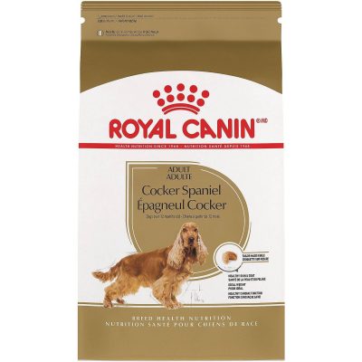 Royal Canin Breed Health Nutrition Cocker Spaniel