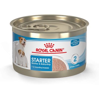 Royal Canin Starter Mother & Babydog Canned Food