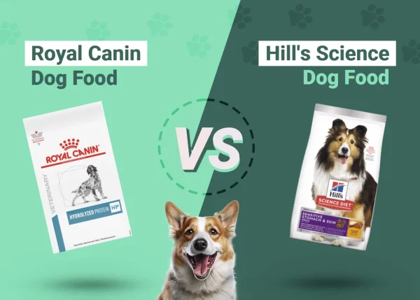 Royal Canin vs Hill's Science Dog Food - Featured Image