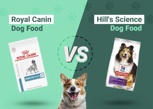 Royal Canin Dog Food vs Hill&rsquo;s Science Diet: 2024 Comparison 