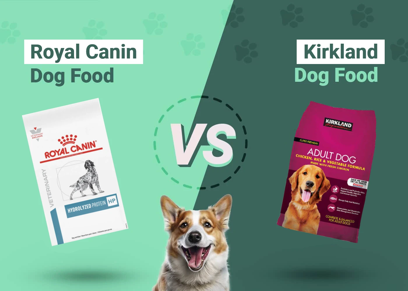 Royal Canin vs Kirkland Dog Food - Featured Image