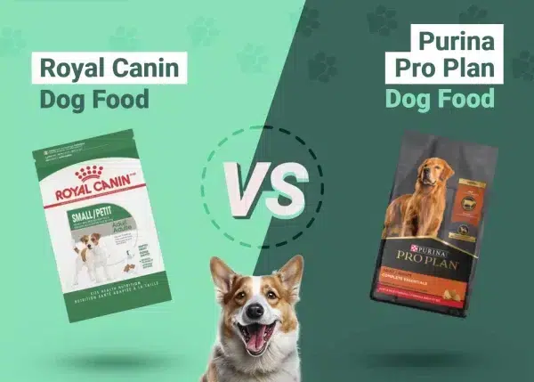 Royal Canin Dog Food Vs Purina Pro Plan: Ultimate Comparison