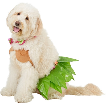 Rubie's Costume Company Hula Girl Dog & Cat Costume