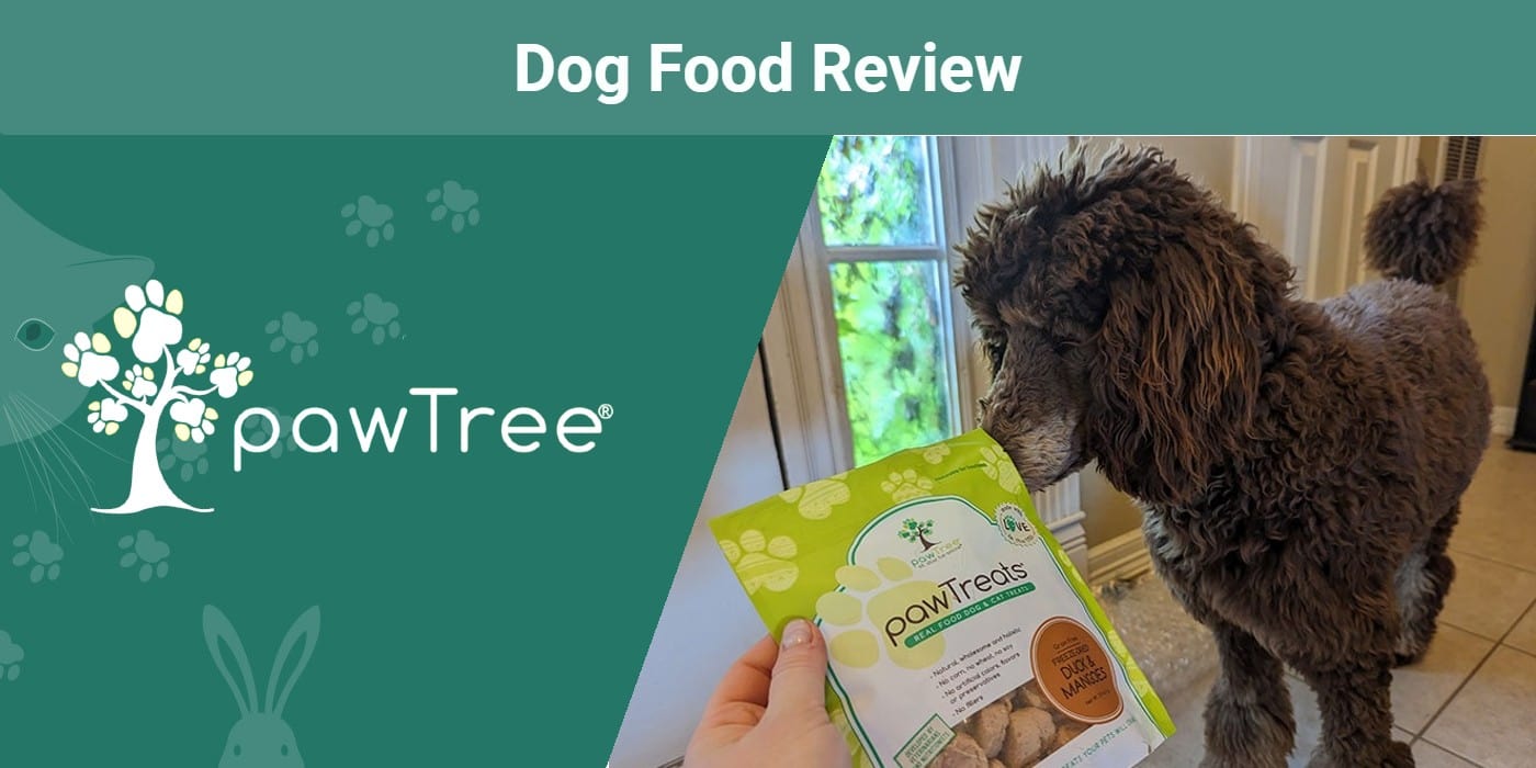 pawTree-logo-dog-treats-food