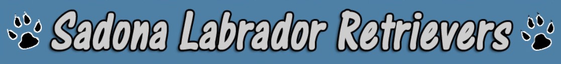 Sadona Labrador Retrievers