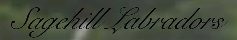 Sagehill Labradors logo