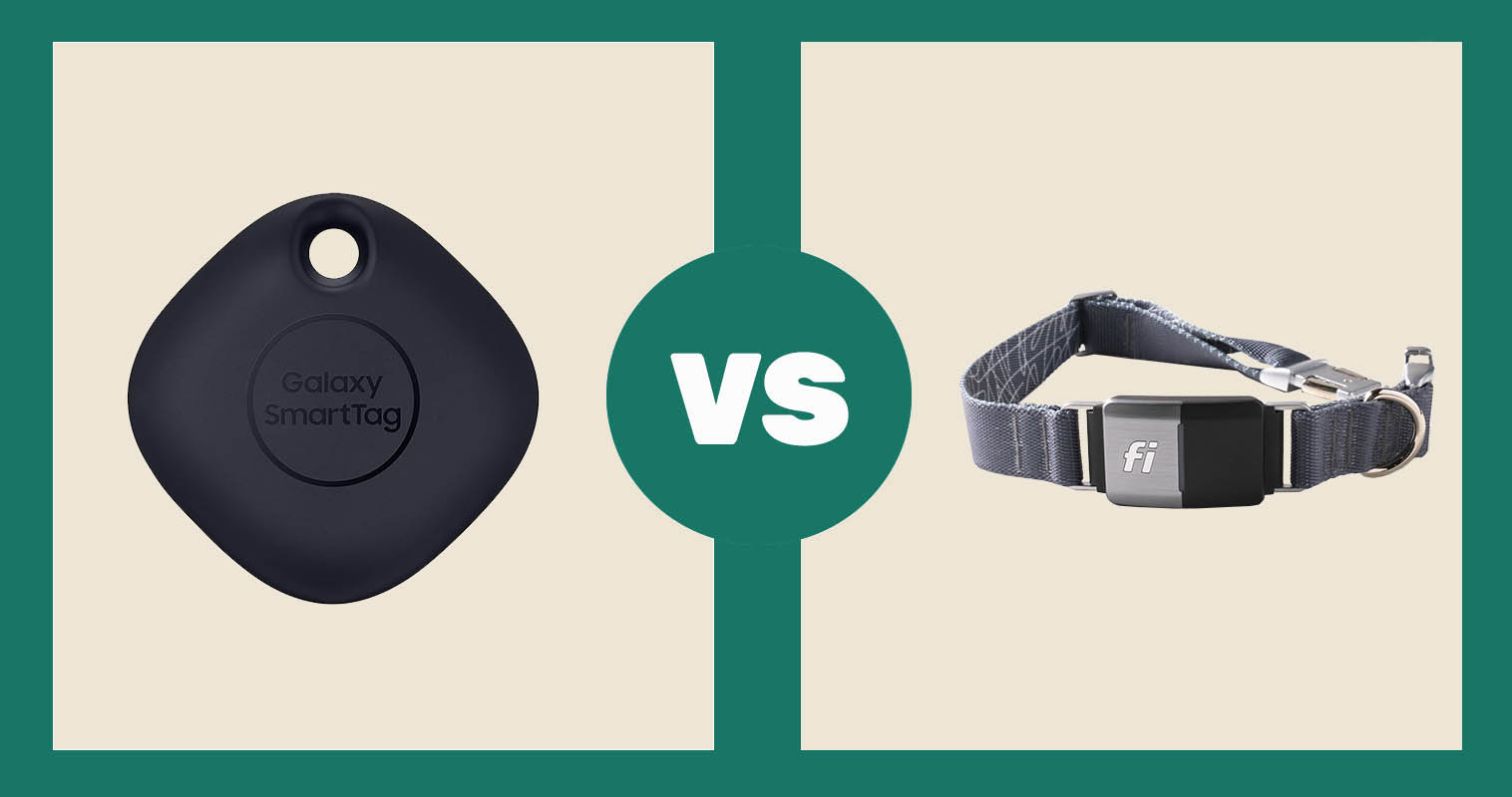 Samsung Galaxy SmartTag Bluetooth Tracker vs Fi Dog Collar