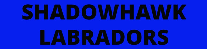 Shadowhawk Labrador Retrievers logo