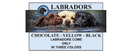 Shadowmyst labradors logo