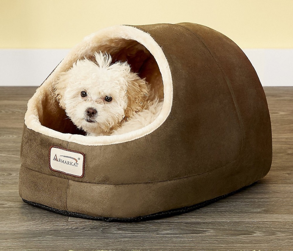 Shih Tzu in dog bed cave