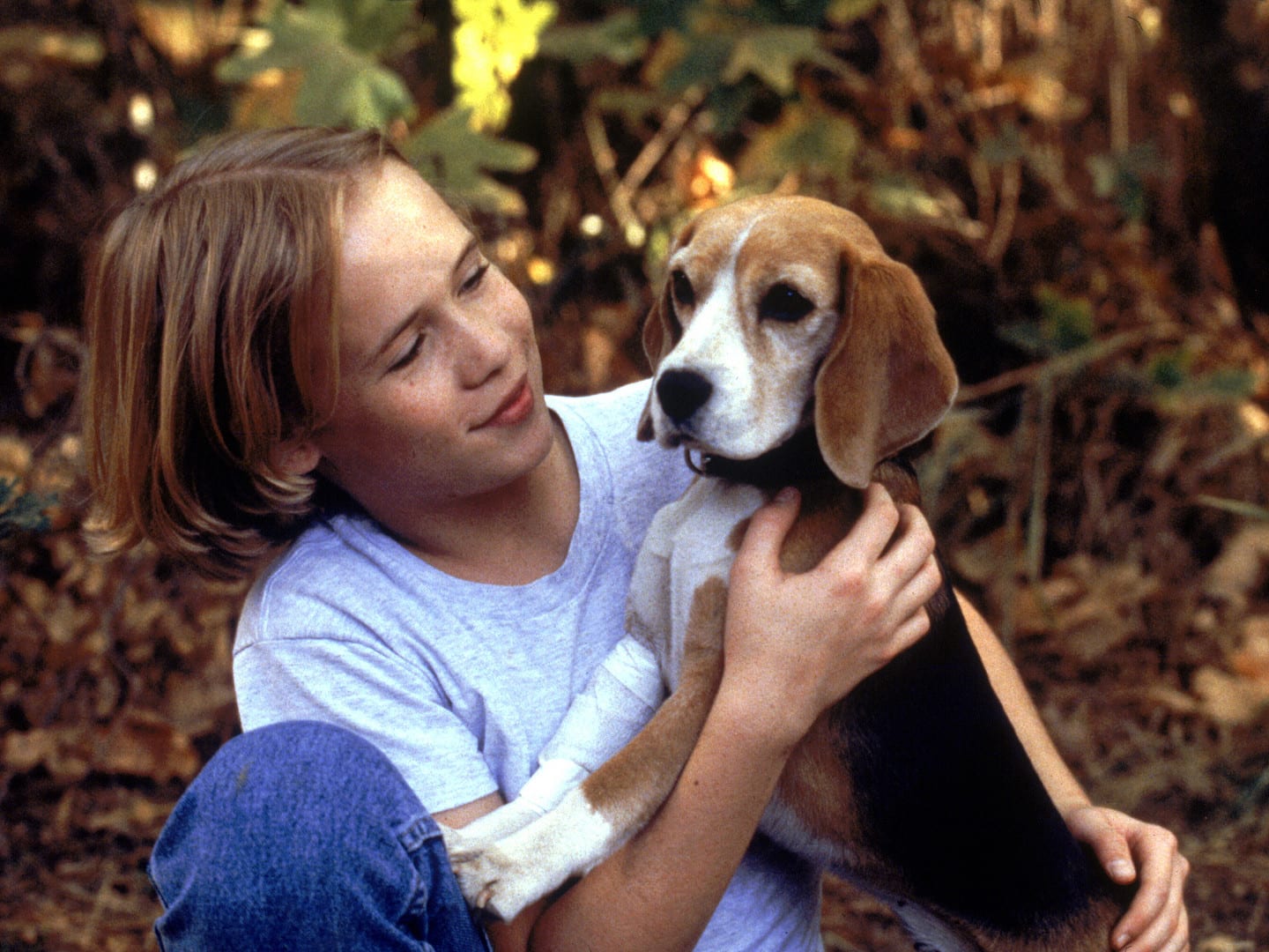 Shiloh (1996)Directed by Dale RosenbloomShown at left: Blake Heron