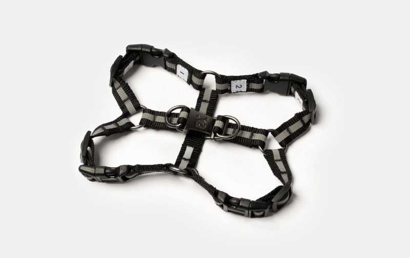 Silver Paw Maximus Dog Harness